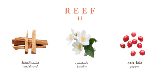 Reef 11 perfume
