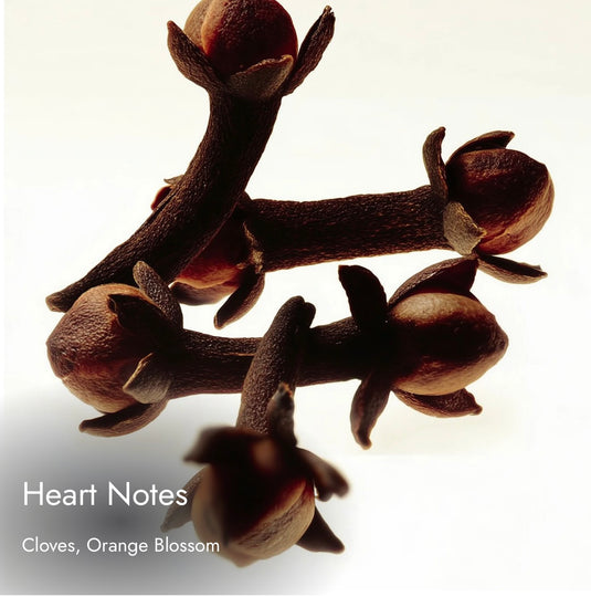 Match Coco
Timeless. Elegant. Gracefully feminine. Inspired By
CHANEL N°5 Eau de Parfum