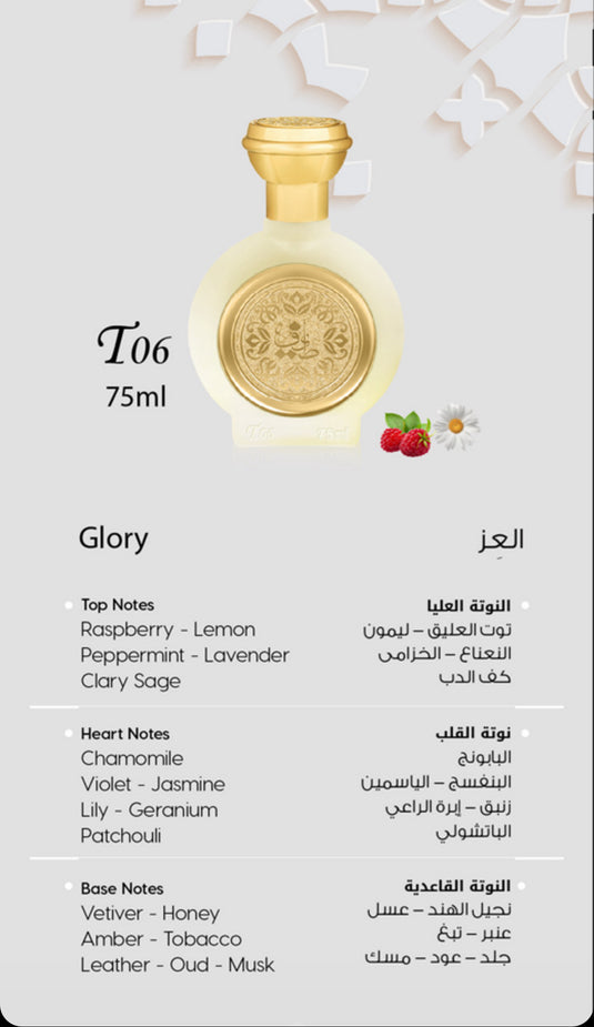 T06 Glory