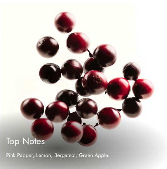 Match Avetos
Powerful. Confident. Timeless. Inspired By
Creed Aventus