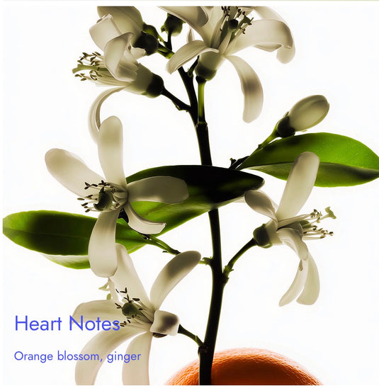 Match Imagine Inspired By
Louis Vuitton Imagination