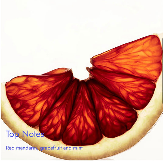 Match Milion. Inspired By
Rabanne 1 Million Eau de Toilette with Leather