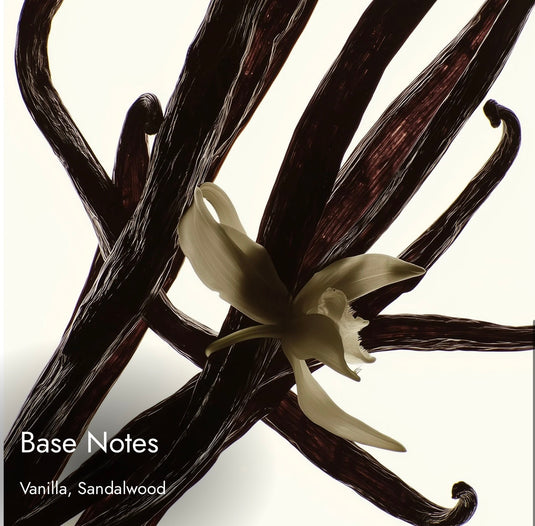 Match Way
Feminine. Graceful. Empowered. Inspired By
Armani My Way