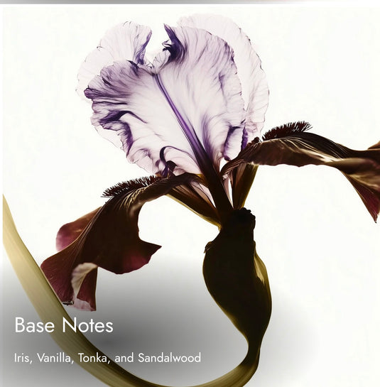 Match Solence
Feminine. Confident. Alluring. Inspired By
Guerlain Insolence Eau de Parfum