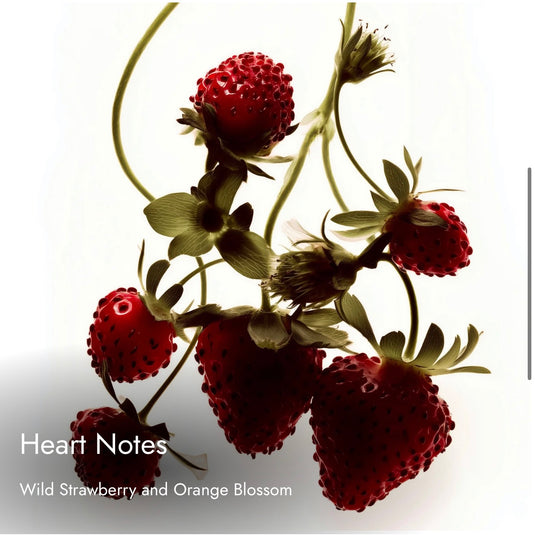 Match Solence
Feminine. Confident. Alluring. Inspired By
Guerlain Insolence Eau de Parfum