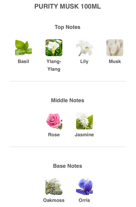 MASALA PURITY MUSK FOR BODY 100ML