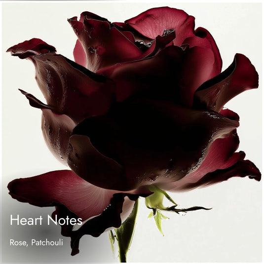 Match Opiume
Sensual. Confident. Addictive. Inspired By
YSL Black Opium Eau de Parfum