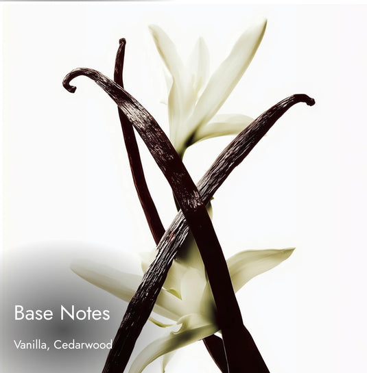 Match Opiume
Sensual. Confident. Addictive. Inspired By
YSL Black Opium Eau de Parfum