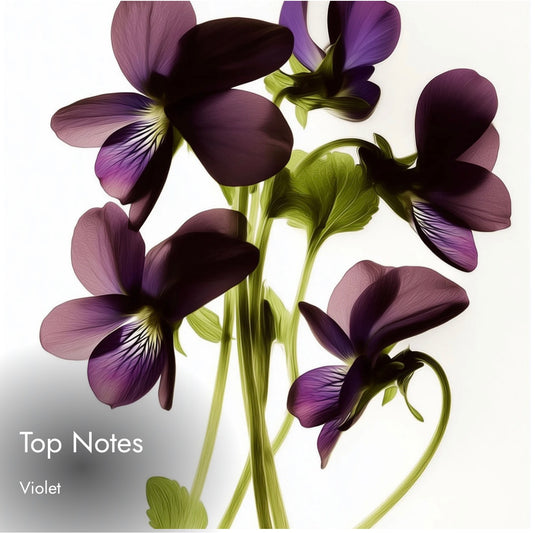 Match Solence
Feminine. Confident. Alluring. Inspired By
Guerlain Insolence Eau de Parfum