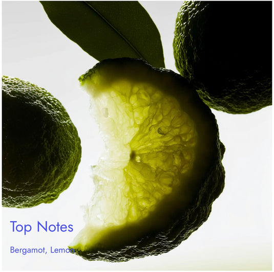 Match Imagine Inspired By
Louis Vuitton Imagination