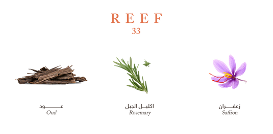REEF 33 Perfume – Saffron, Rosemary, Oud – 100 ml (Unisex)