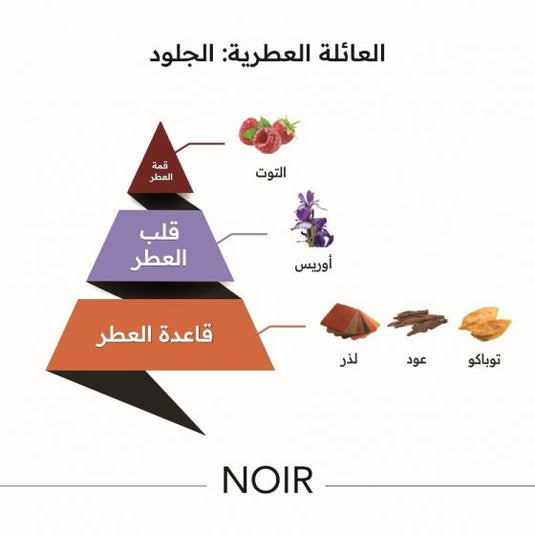 Noir Perfume