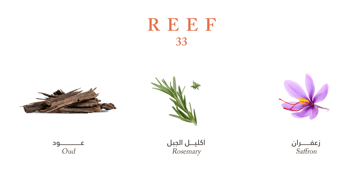 Best Long-Lasting Arabian Perfume for Women in USA (2026 Guide)