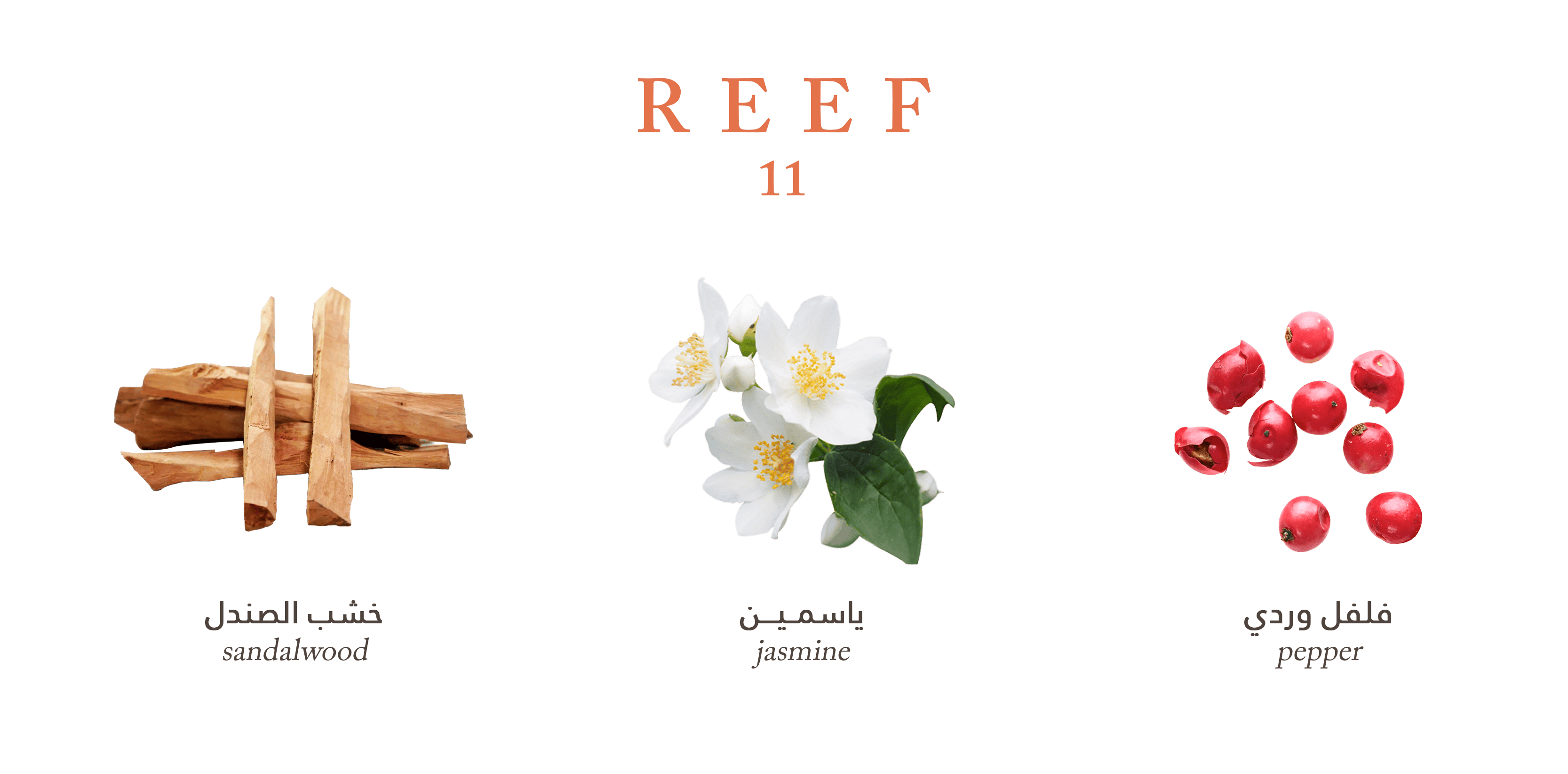 REEF 11 Perfume – 100 ml (Unisex)