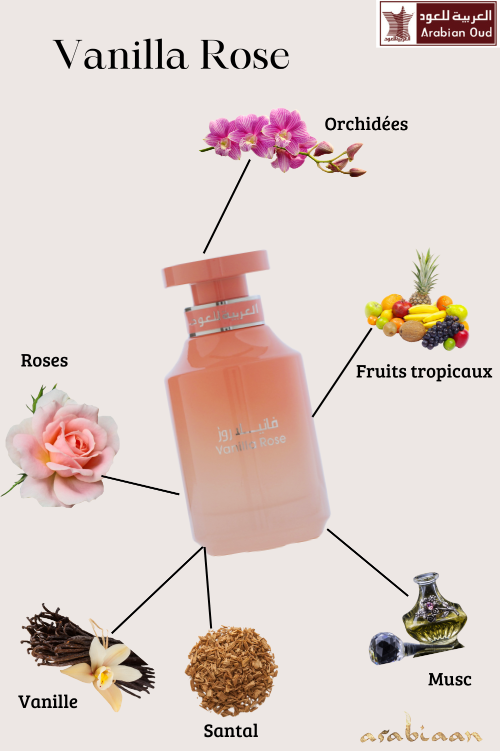 Vanilla Rose by Arabian Oud 100ml Eau De Parfum | عطر فانيلا روز من العربية للعود 100 مل