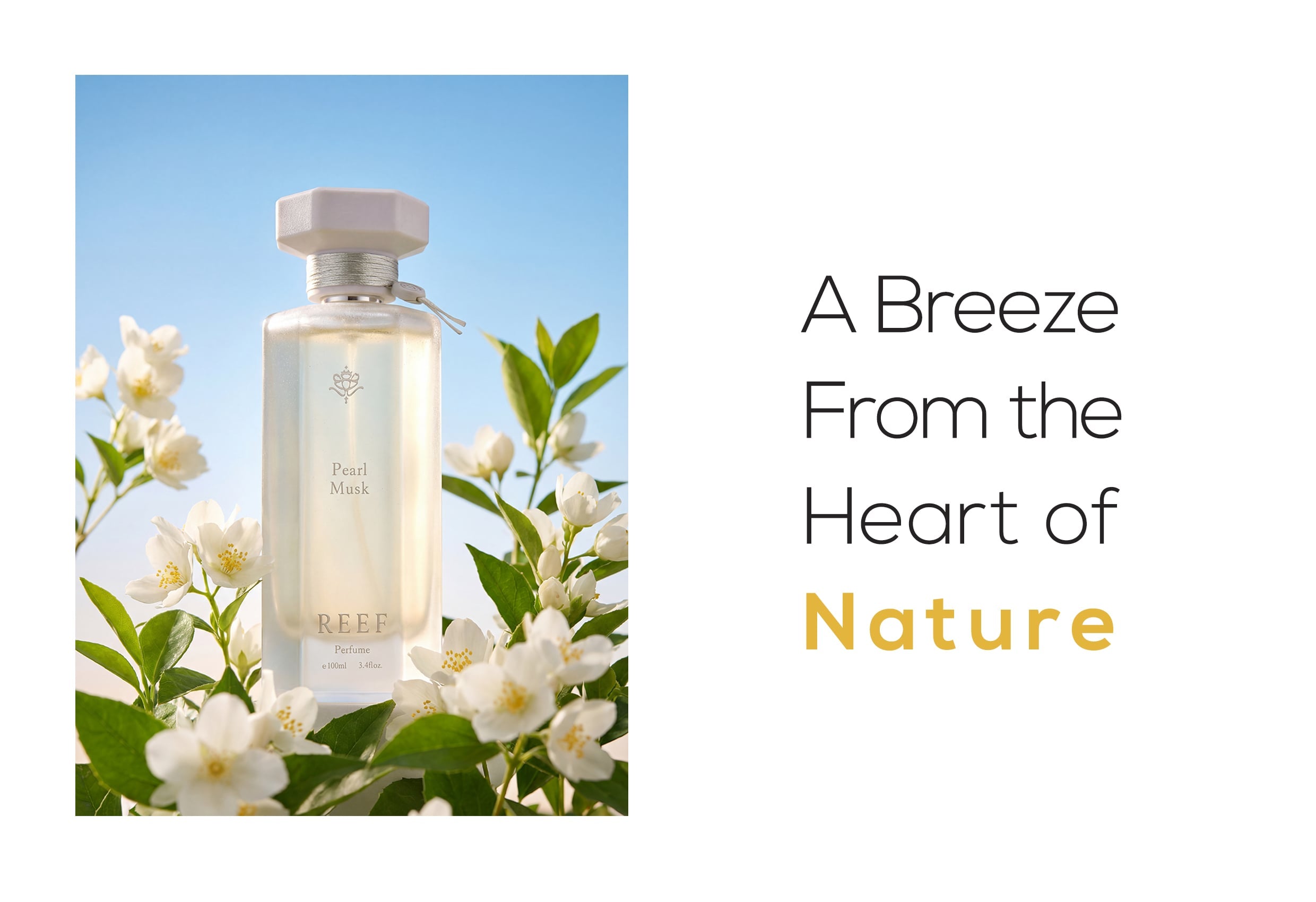 Reef Pearl Musk – 100ml