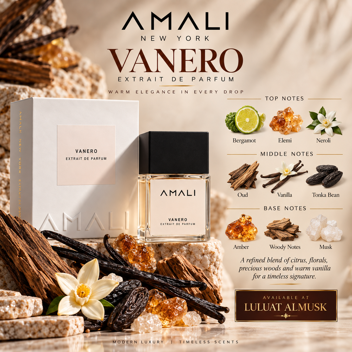 Vanero Extrait de Parfum – AMALI New York 50 ml