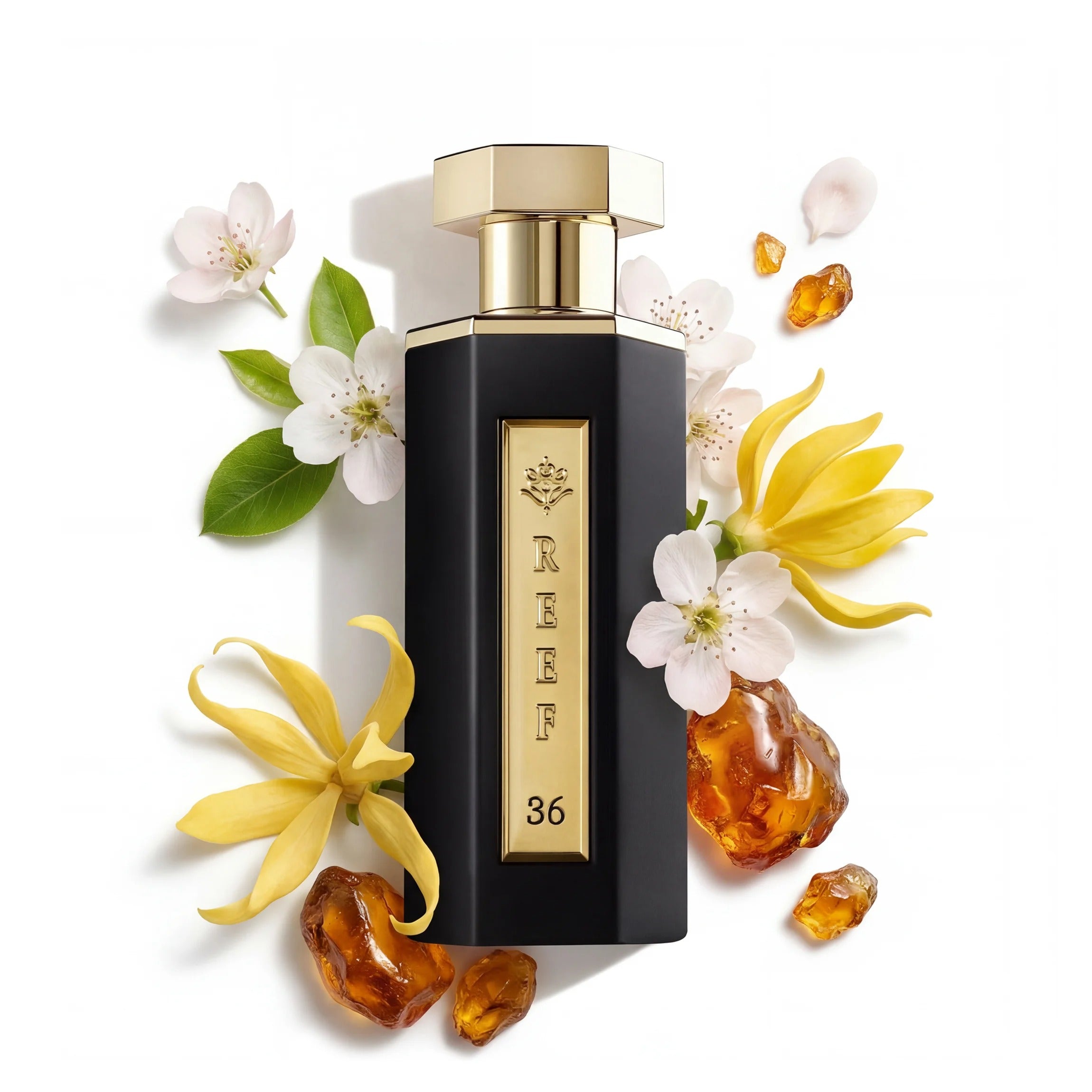 REEF 36 Perfume – 100 ml (Unisex)