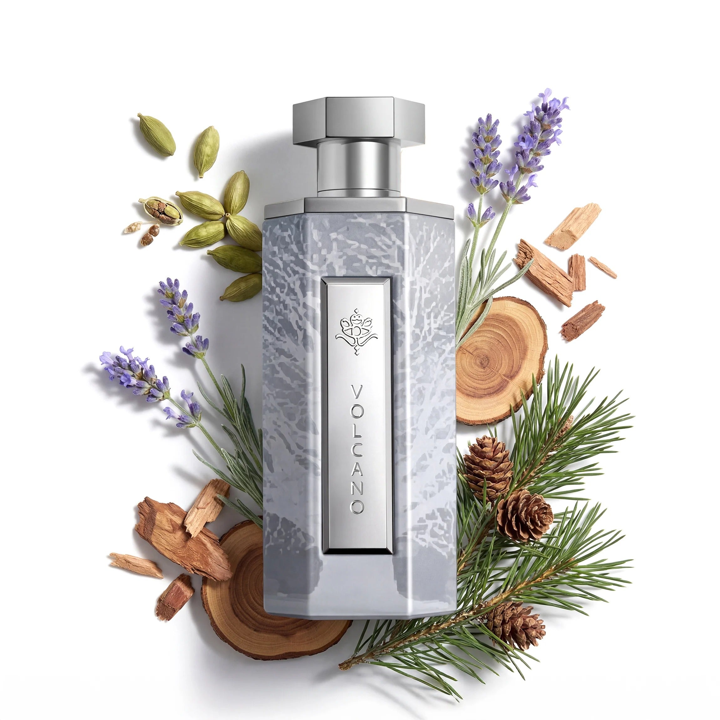 REEF Volcano Perfume  200 ml (Men)