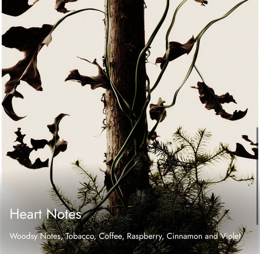 Match Sliq Quin
Mysterious. Luxurious. Seductive. Inspired By

Creed Queen of Silk Eau de Parfum