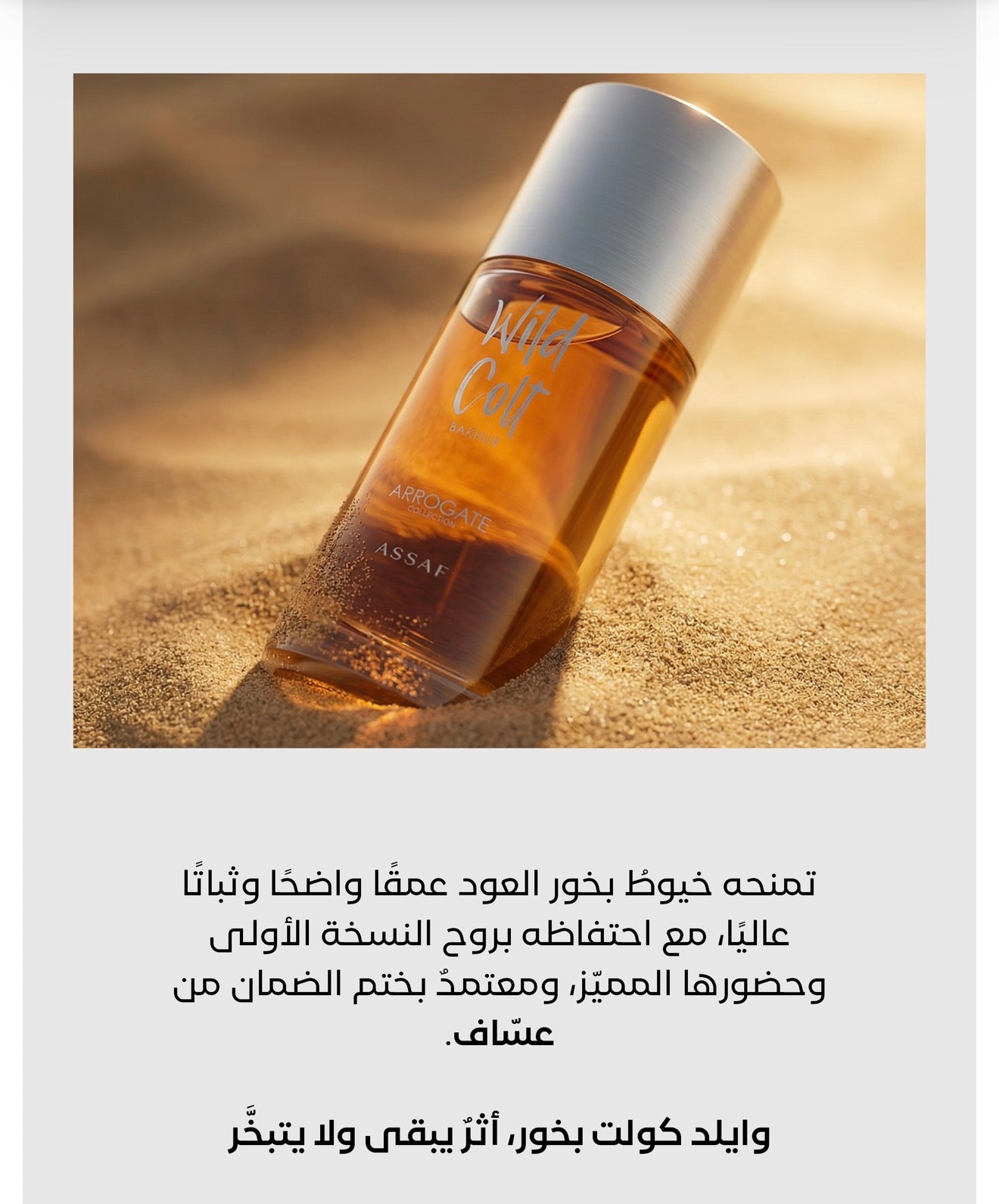 Wild Colt Bakhur by ASSAF | Luxury Oud & Leather Perfume | Luluat Almusk