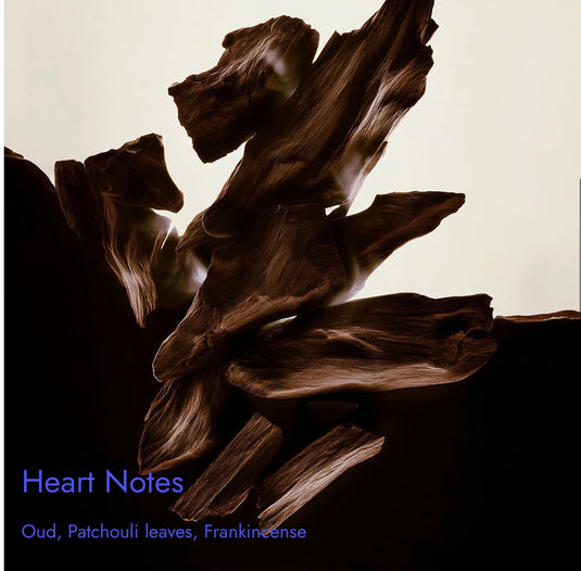 Match Oud
Powerful. Alluring. Sophisticated. Inspired By

Maison Crivelli Oud Maracuja Extrait de Parfum