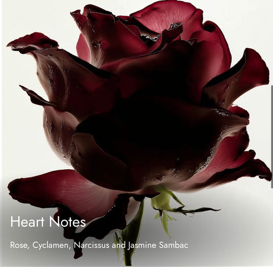 Match Mateir
Romantic. Elegant. Luminous.     Inspired By

Louis Vuitton Rose Des Vents