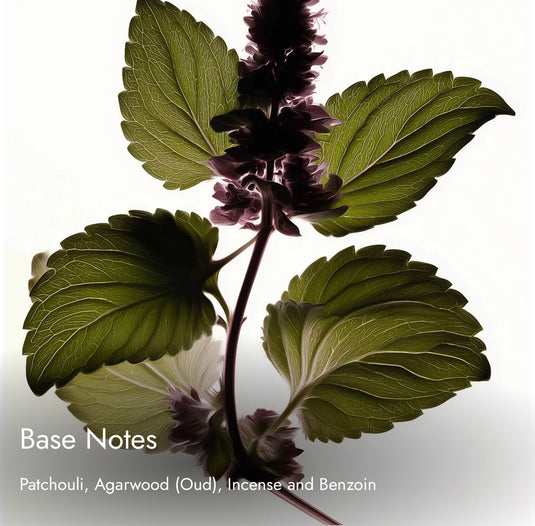 Match Mateir
Romantic. Elegant. Luminous.     Inspired By

Louis Vuitton Rose Des Vents