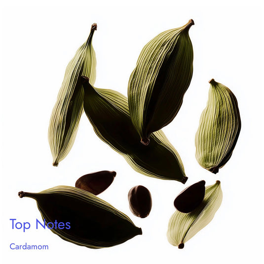 Match Ombér Leather                  Inspired By

Tom Ford Ombré Leather