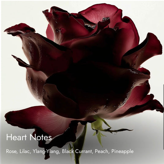 Match Avetos
Powerful. Confident. Timeless.  Inspired By

Creed Aventus