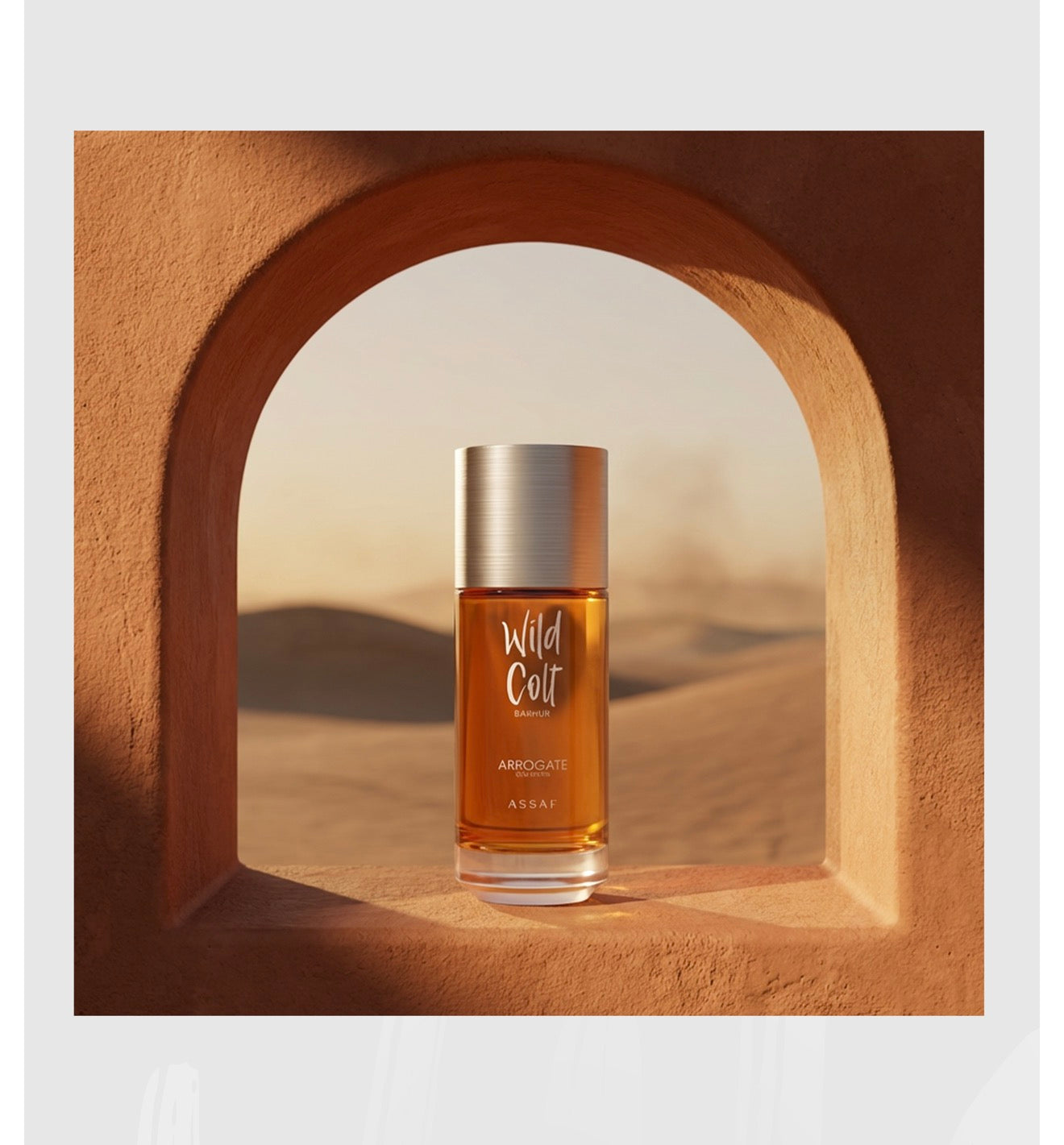 Wild Colt Bakhur by ASSAF | Luxury Oud & Leather Perfume | Luluat Almusk