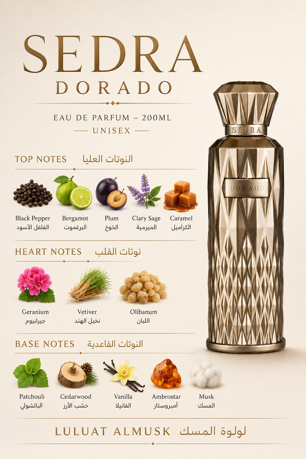 SEDRA Dorado Eau de Parfum – 200mlعطر سيدرا دورادو – 20