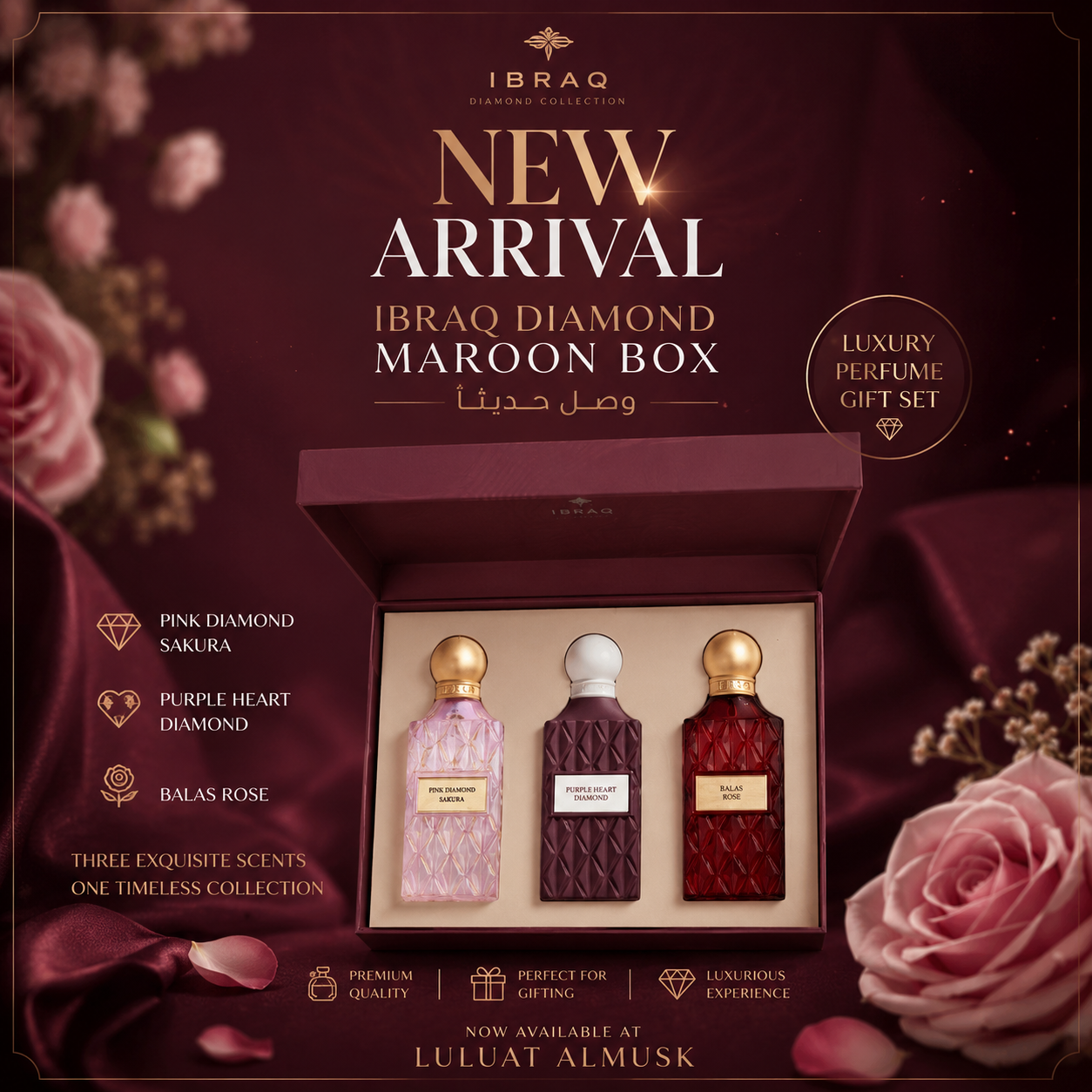 IBRAQ Diamond Maroon Collection