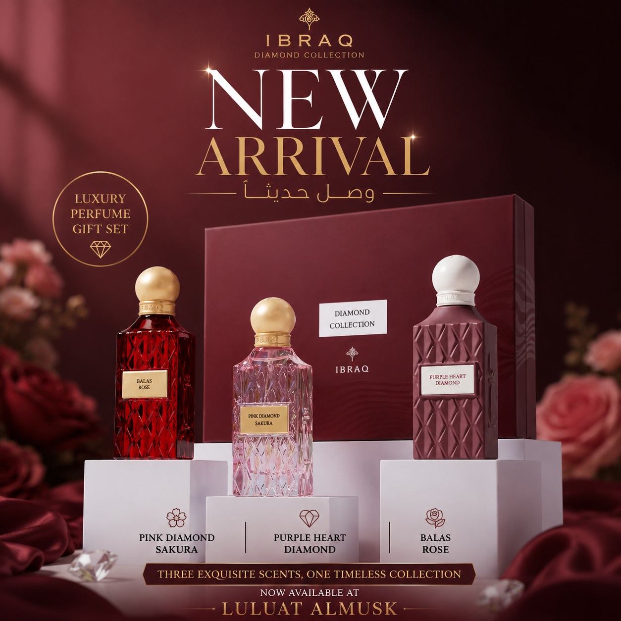 IBRAQ Diamond Maroon Collection