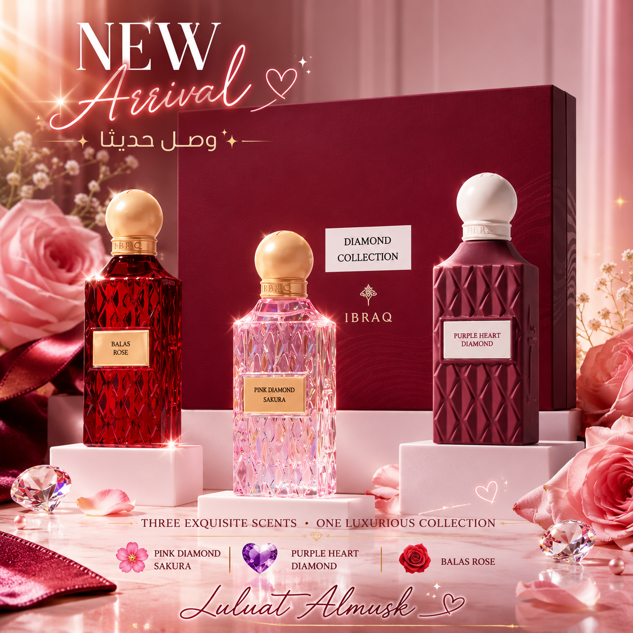 IBRAQ Diamond Maroon Collection