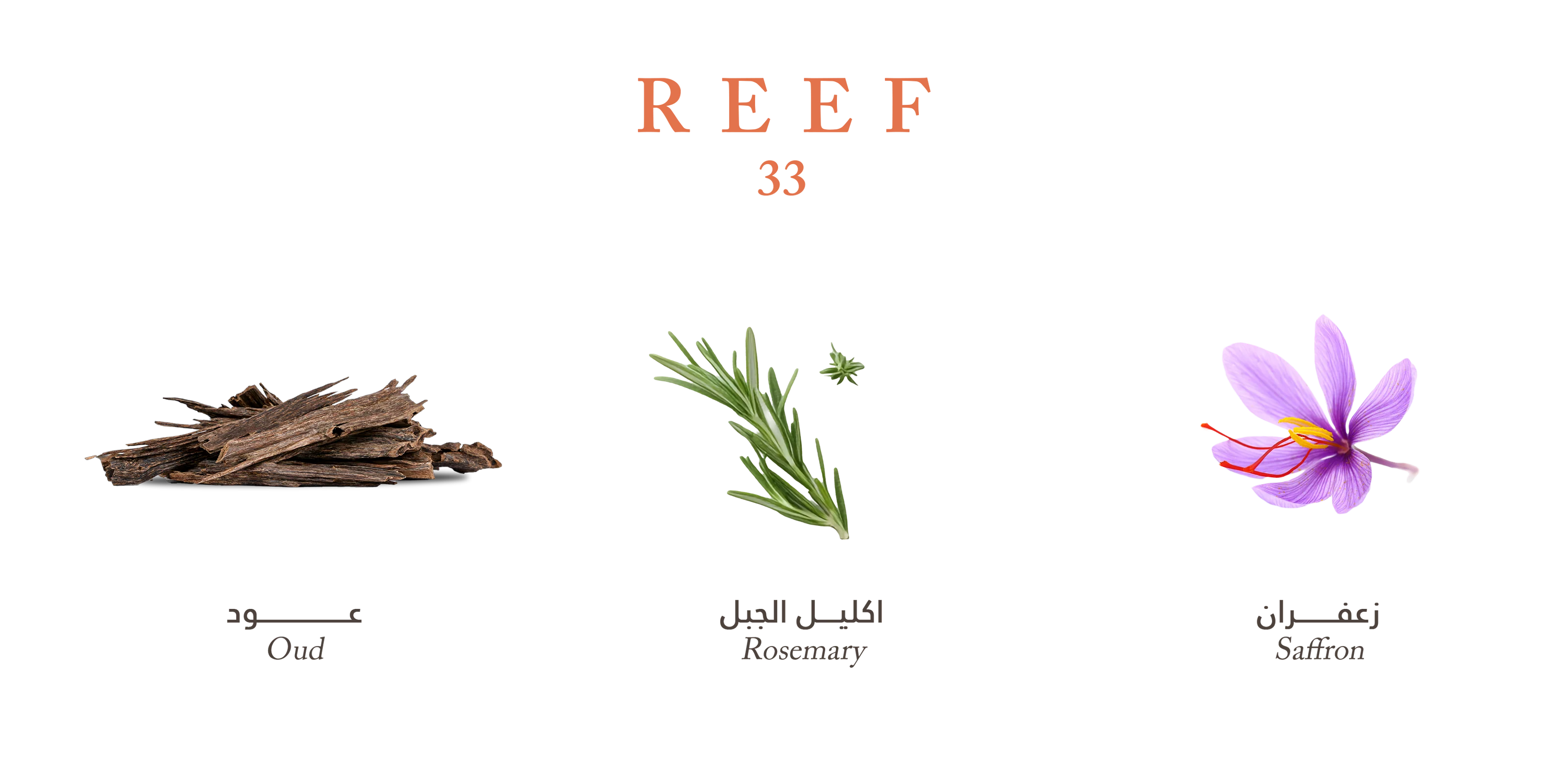 REEF 33 Perfume – 100 ml (Unisex)