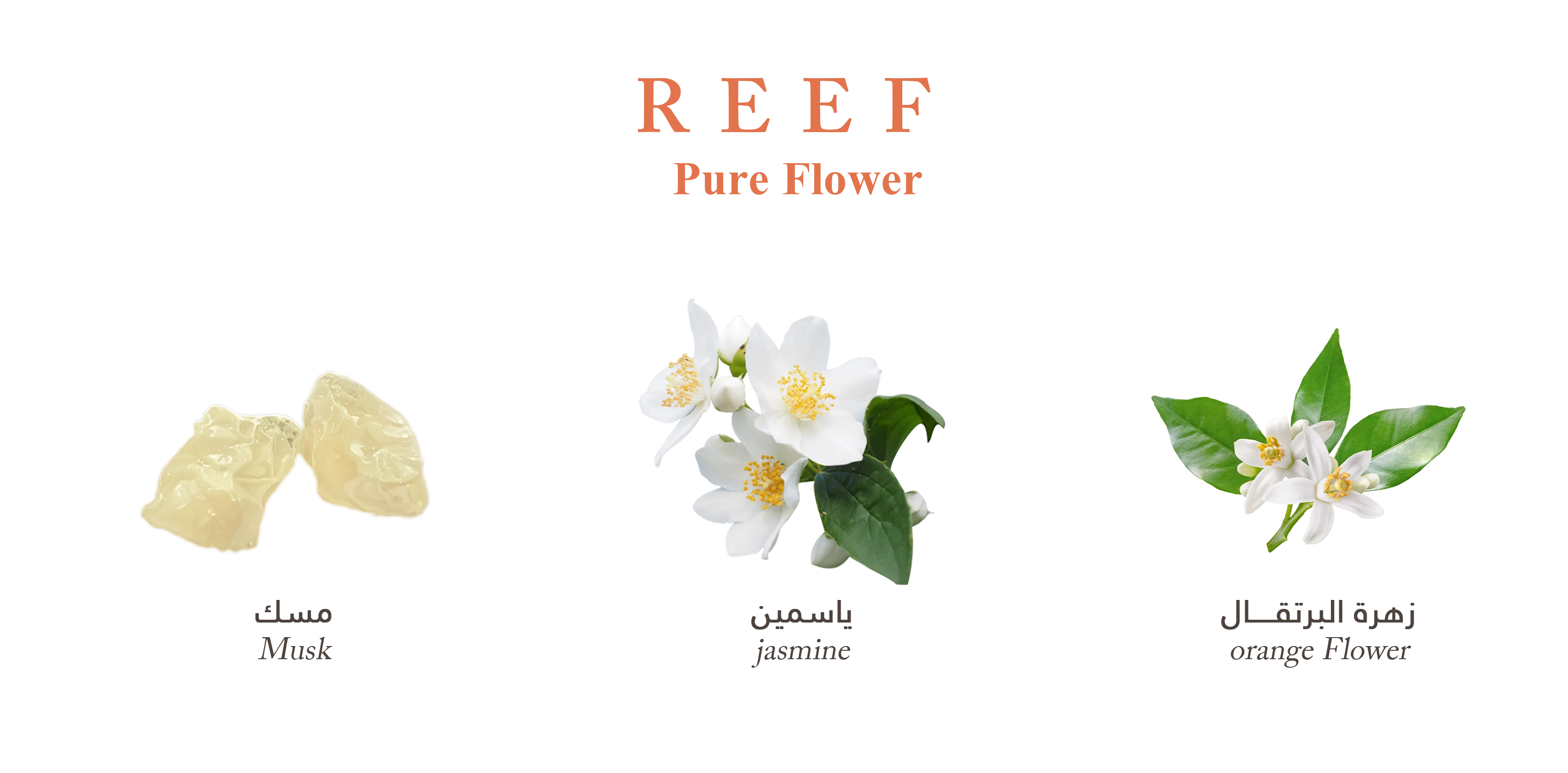 REEF Pure Flower Perfume – 150 ml (Unisex)