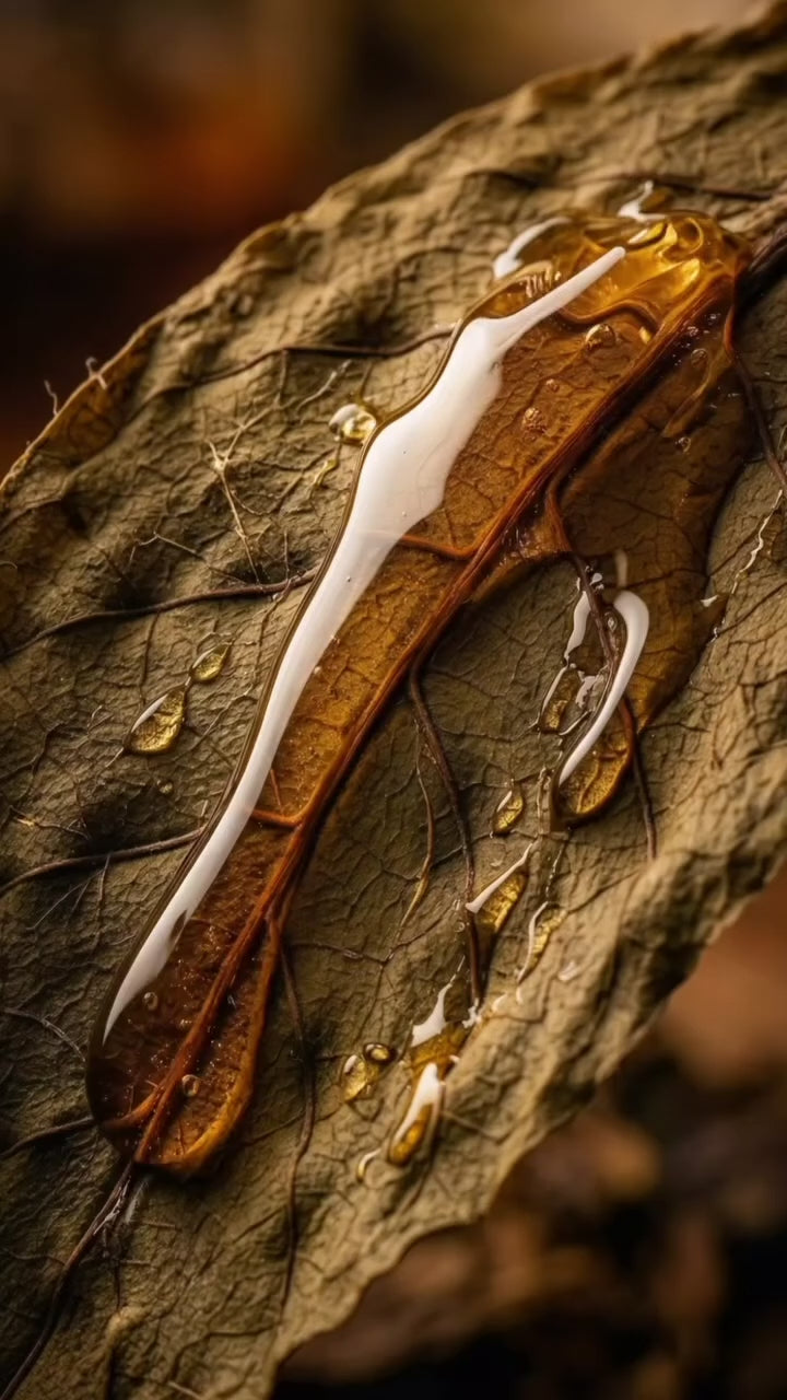 Load video: New Tobacco Honey by Taif Al Emarat – A Warm &amp; Addictive Oriental Fragrance