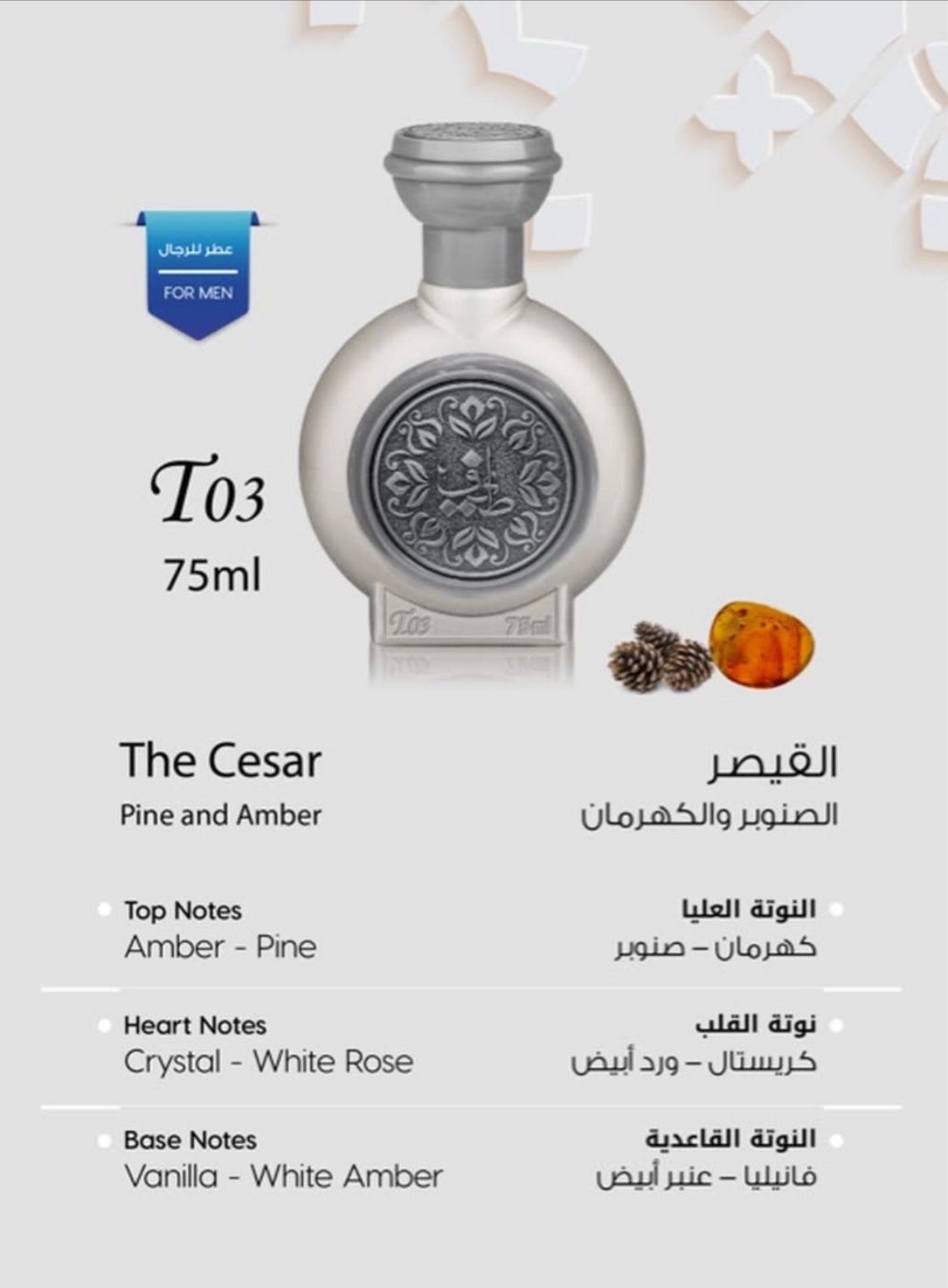 T03 The Cesar – Taif Al Emarat Perfume (75ML)

عطر T03 سيزر من طيف الإمارات – 75 مل

T03 The Cesar perfume by Taif Al Emarat 75ml luxury Arabian fragrance for men